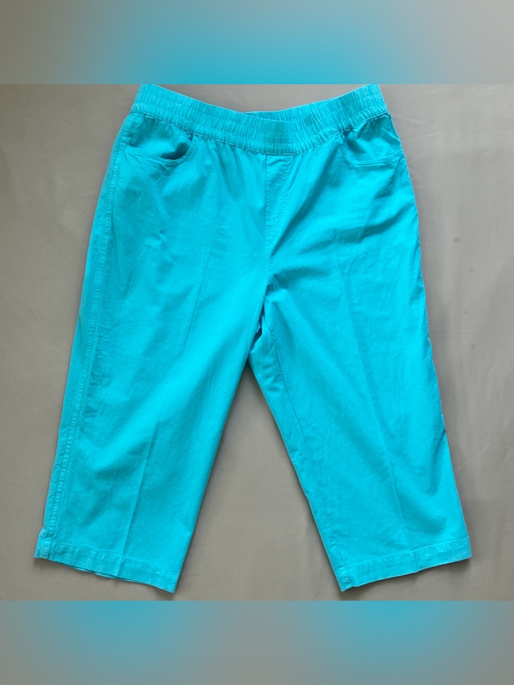 Northern Reflections 100% Cotton Capri Pants L Discontinued Blue Water NWT